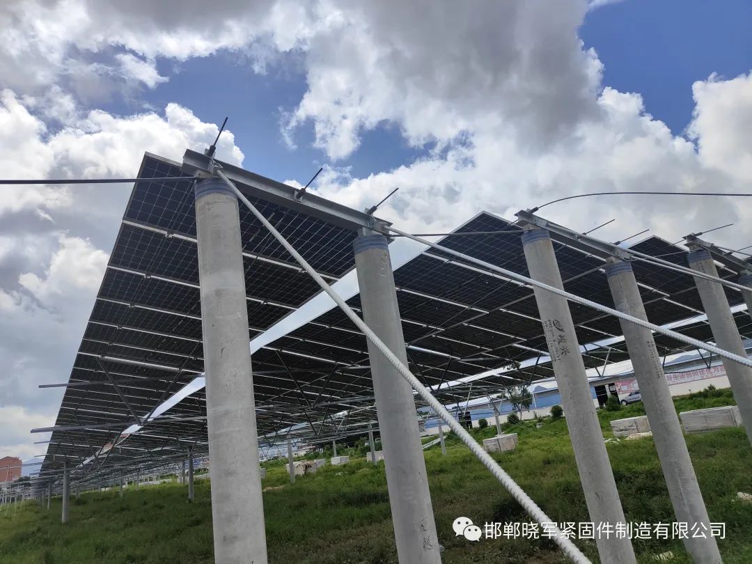 1697427611977240.jpg 2.jpg