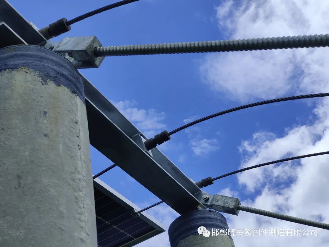 1697427622599329.jpg 3.jpg