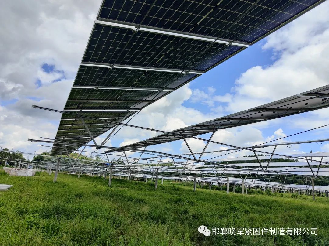 1697427631567393.jpg 4.jpg